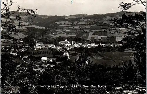 34609 - Niederösterreich - Pöggstall , Panorama - gelaufen 1956