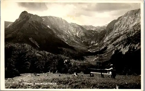 34618 - Steiermark - Seeberg , Dullwitzausblick - gelaufen 1955