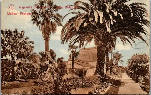 34800 - Portugal - Lisboa , A grande Palanaica , Botanica - nicht gelaufen
