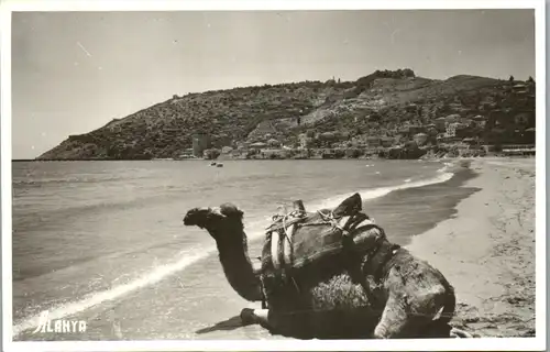 34901 - Türkei - Alanya , Camel - nicht gelaufen