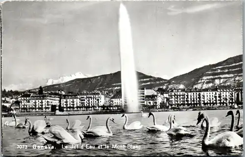 34961 - Schweiz - Genf , Le Jet d'Eau et le Mont Blanc - gelaufen 1963