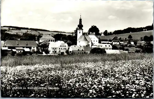 35034 - Steiermark - St. Jakob im Walde , Panorama - gelaufen 1969
