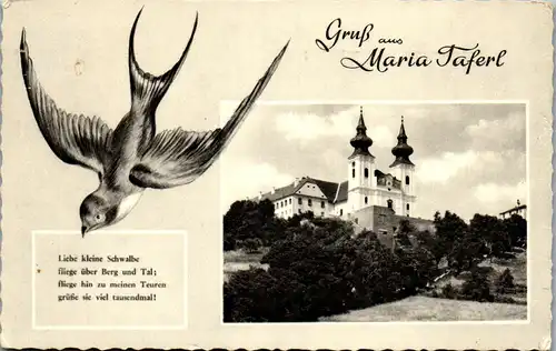 35037 - Niederösterreich - Maria Taferl , Gruß aus , Schwalbe - gelaufen 1966