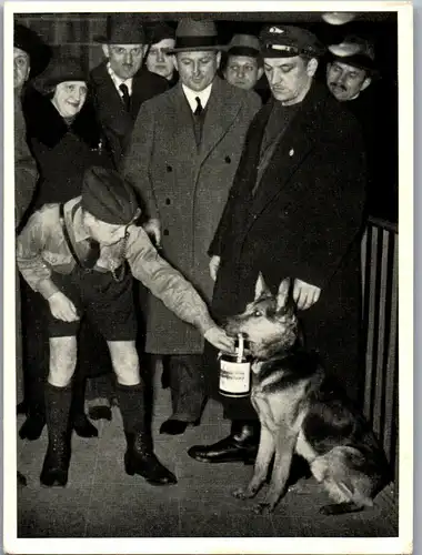 35374 - Zigarettenbilder - Männer und Ereignisse unserer Zeit , Serie II , Nr. 75 , Der Hund als Sammler für die Winterhilfe der SA