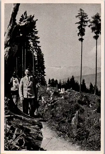 35517 - Sammelbilder - Sammelwerk Nr. 15 , Adolf Hitler , Gruppe 67 , Bild Nr.: 46 , Spaziergang in den Bergen