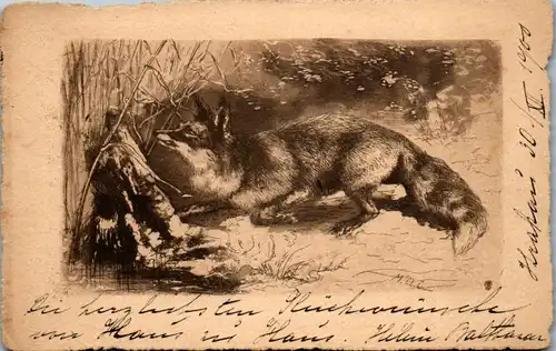 35781 - Künstlerkarte - Menci Clement Crncic , Fuchs , Fox - gelaufen 1900