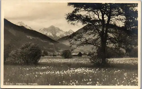 35882 - Steiermark - Ennstal , Pyrgass - nicht gelaufen 1921