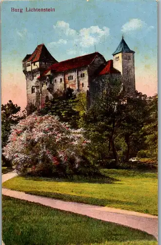36030 - Niederösterreich - Maria Enzersdorf , Burg Lichtenstein , Liechtenstein - gelaufen 1924
