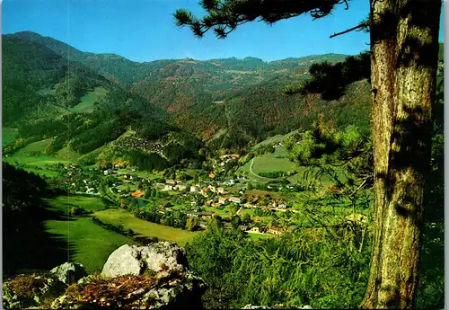 36426 - Niederösterreich - Kleinzell , Panorama - nicht gelaufen