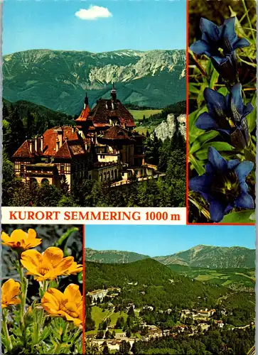 36515 - Niederösterreich - Semmering , Südbahnhotel gegen Raxalpe , Schneeberg , Mehrbildkarte - gelaufen