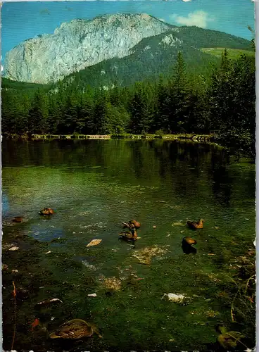 36580 - Steiermark - Tragöß Oberort , Kreuzteich mit Meßnerin - nicht gelaufen