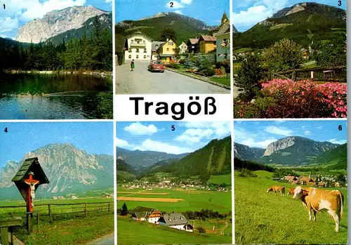 36582 - Steiermark - Tragöß , Kreuzteich , Meßnerin , Pribitz , Pichl Großdorf , Mehrbildkarte - nicht gelaufen