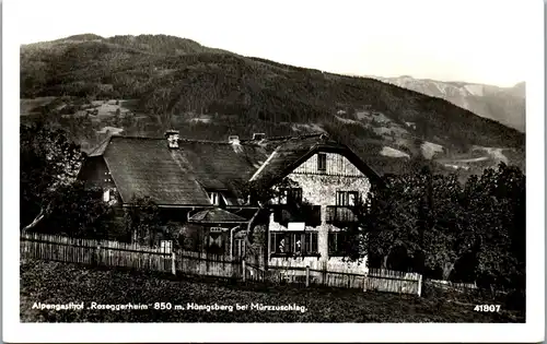 36593 - Steiermark - Hönigsberg bei Mürzzuschlag , Alpengasthof Roseggerheim - gelaufen 1959