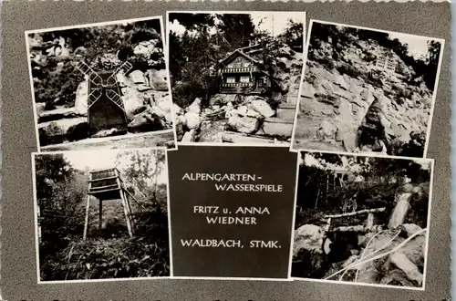 36611 - Steiermark - Waldbach , Alpengarten Wasserspiele , Fritz u. Anna Wiedner - gelaufen 1966