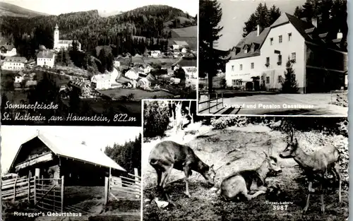 36613 - Steiermark - St. Kathrein am Hauenstein , Rosegger's Waldheimat , Gasthof Gesselbauer - gelaufen 1964
