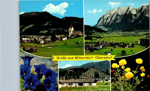 36631 - Steiermark - Mitterndorf Obersdorf , Grimming , Sonnenalm , Mehrbildkarte - nicht gelaufen