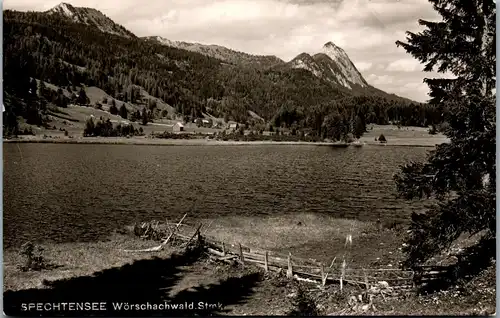 36675 - Steiermark - Wörschachwald , Spechtensee - gelaufen 1961