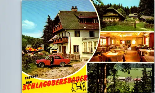36676 - Steiermark - Krieglach , Alpl , Pension Gasthof zum Schlagobersbauer , A. Leitner - nicht gelaufen