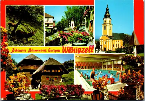 36731 - Steiermark - Wenigzell , Mehrbildkarte - gelaufen
