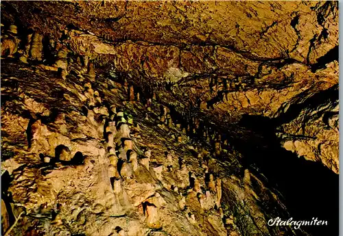 36805 - Oberösterreich - Obertraun , Koppenbrüller Höhle , Stalagmiten - nicht gelaufen