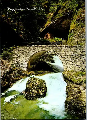 36819 - Oberösterreich - Obertraun , Koppenbrüller Höhle - nicht gelaufen