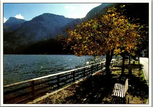 36837 - Oberösterreich - Hallstatt - nicht gelaufen