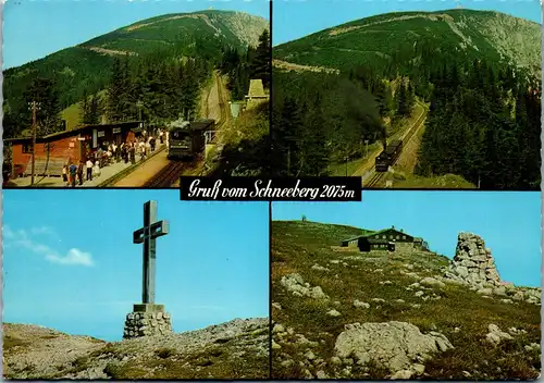 37128 - Niederösterreich - Puchberg Schneeberg , Station Baumgartner , Gipfelkreuz am Klosterwappen , Fischerhütte , Zahnradbahn - nicht gelaufen