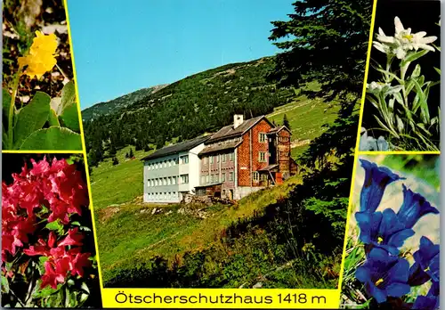 37192 - Niederösterreich - Lackenhof am Ötscher , Ötscherschutzhaus - nicht gelaufen