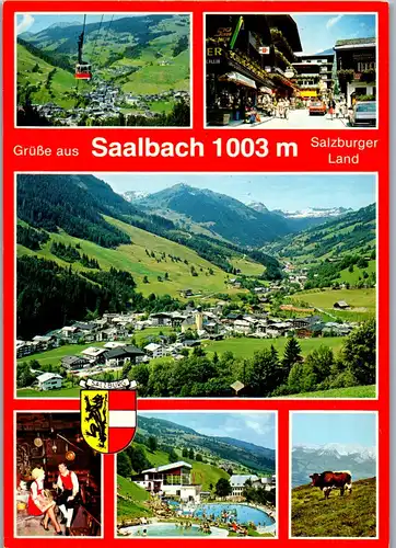 37272 - Salzburg - Saalbach , Mehrbildkarte - nicht gelaufen