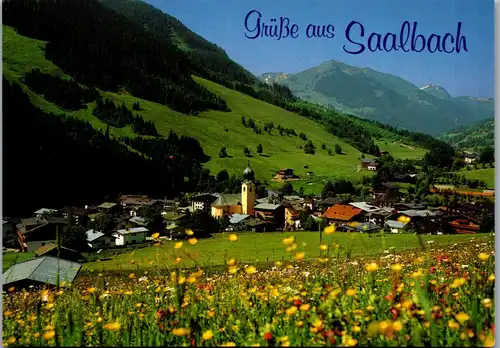 37274 - Salzburg - Saalbach mit Zwölferkogel - nicht gelaufen