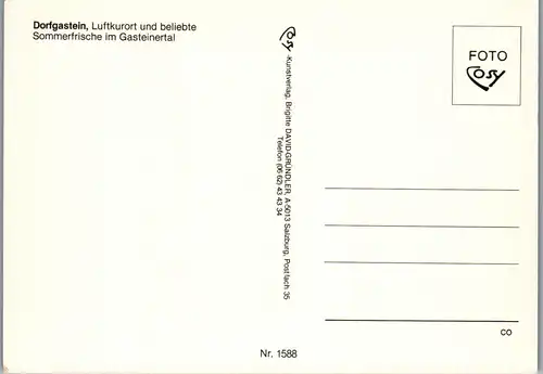 37356 - Salzburg - Dorfgastein im Gasteinertal , Silberpfennig , Zitterauertisch , Panorama - nicht gelaufen