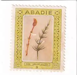 937346 -  - Abadie , 3 , XXIII Heilpflanzen