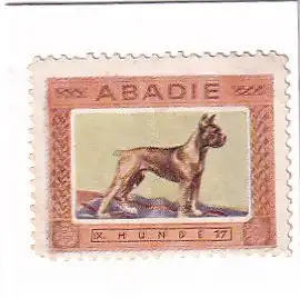 937356 -  - Abadie , 17 , IX Hunde