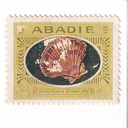 937357 -  - Abadie , 3 , V Muscheln u. Schnecken