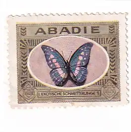 937368 -  - Abadie , 1 , I Exotische Schmetterlinge