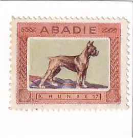 937371 -  - Abadie , 17 , IX Hunde