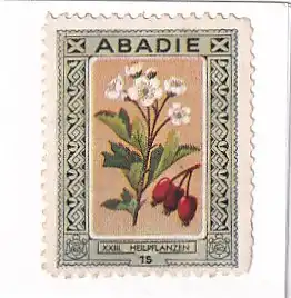 937376 -  - Abadie , 15 , XXIII Heilpflanzen