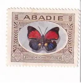 937377 -  - Abadie , 41 , I Exotische Schmetterlinge