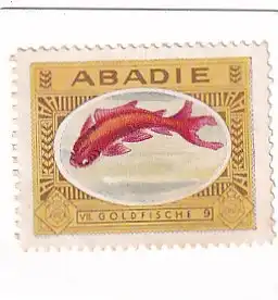 937380 -  - Abadie , 9 , VII Goldfische