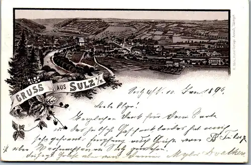 37469 - Deutschland - Sulz am Neckar , Gruss aus - gelaufen 1895