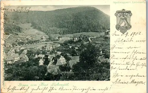 37473 - Deutschland - Bad Liebenzell , Gruss aus , Panorama , Stadtwappen - gelaufen 1902