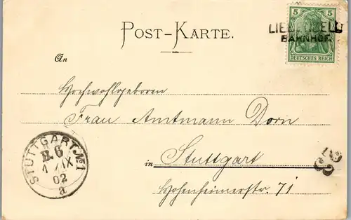 37473 - Deutschland - Bad Liebenzell , Gruss aus , Panorama , Stadtwappen - gelaufen 1902