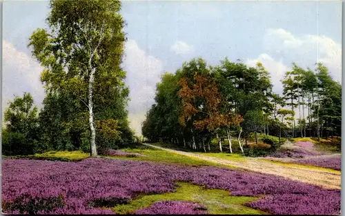 37503 - Künstlerkarte - Landschaft - nicht gelaufen