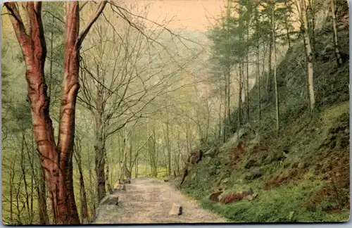 37504 - Künstlerkarte - Landschaft - nicht gelaufen