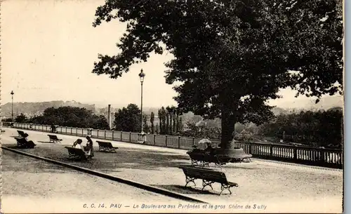 37558 - Frankreich - Pau , Le Boulevard des Pyrenees et le gros Chene de Sully - nicht gelaufen