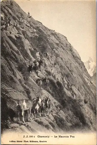 37656 - Frankreich - Chamonix , Le Mauvais Pas - nicht gelaufen