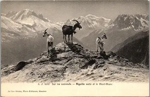 37658 - Frankreich - Aiguille verte et le Mont Blanc , Sur les sommets - nicht gelaufen