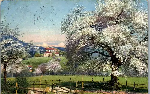 37676 - Künstlerkarte - Obstblüte in Tirol - gelaufen 1912