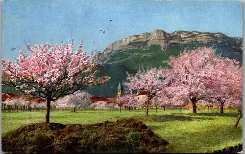 37680 - Künstlerkarte - Obstblüte in Tirol - gelaufen 1912