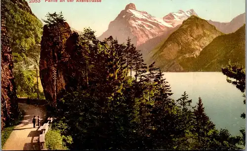 37757 - Schweiz - Partie an der Axenstrasse - nicht gelaufen